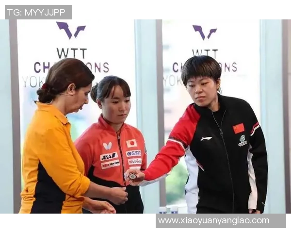 【干流媒体看连城】《央视网》报导！连城：中韩棒球燃情对决 冬训宝地兴旺启幕